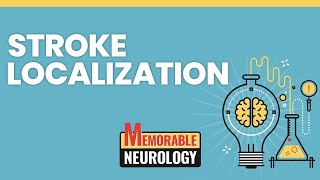 Stroke Localization Made Easy with Mnemonics! (Memorable Neurology Lecture 14)