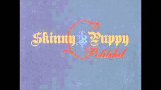 Skinny Puppy - Politikil (Extended Mix)