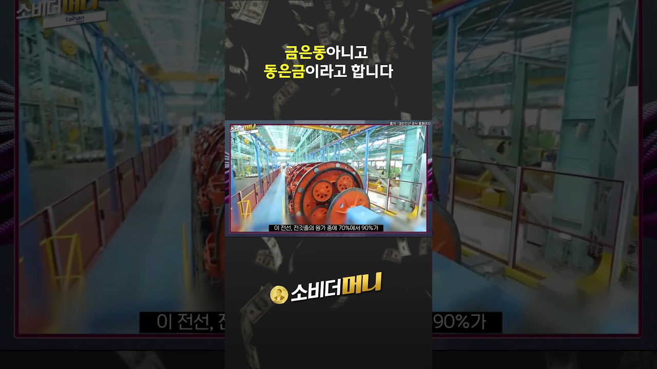 금은동아니고 동은금이라고 합니다 #소비더머니 #대한전선