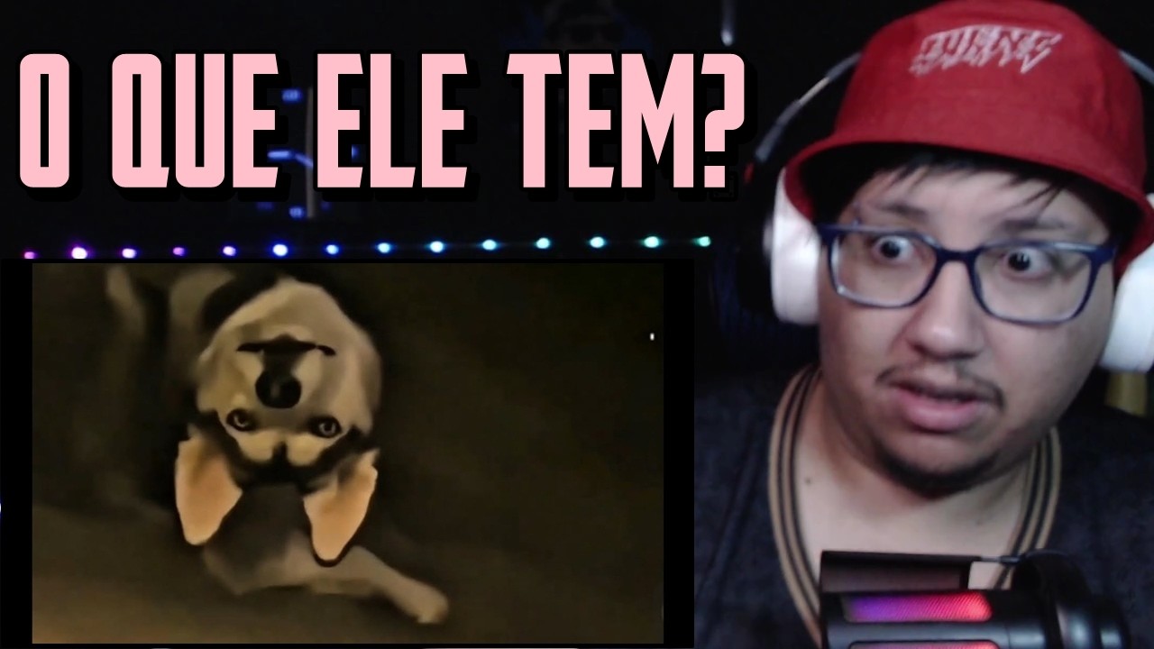 Cachorros Agindo de Forma Estranha