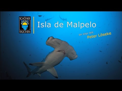 Malpelo mit der Yemaya