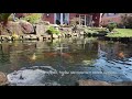 Видео о товаре Tetra Pond Sticks, корм для прудовых рыб, палочки / Tetra (Германия)