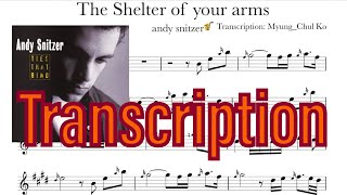 Andy Snitzer - The Shelter of you arms (Transcription)