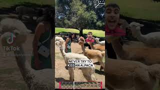 I warned her not to get close 😂😂