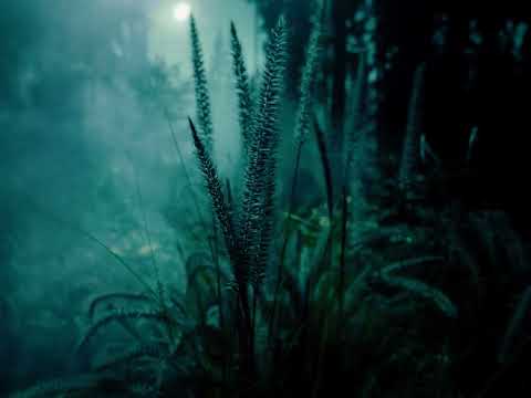 Elley Duhé - COLOR (Audio)