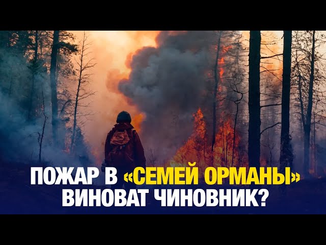 Чиновник выплатит 161 млрд тенге за пожар в «Семей орманы»
