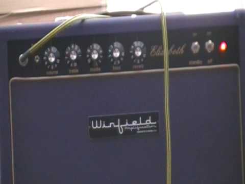 Winfield Elizabeth Reverb 2026 - Rough Blonde Tolex image 5