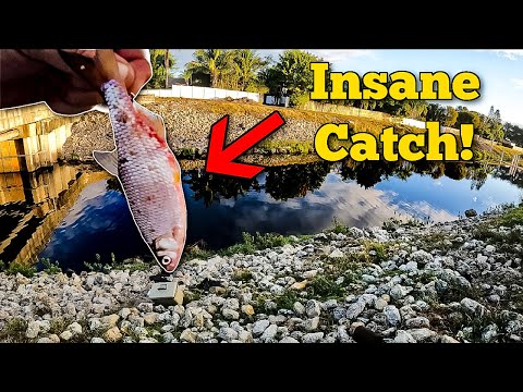 You Won't Believe This Catch! My First Time Ever...