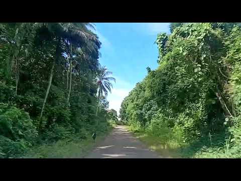 Buluminski Highway,  Sentral Niu Ailan, 🇵🇬