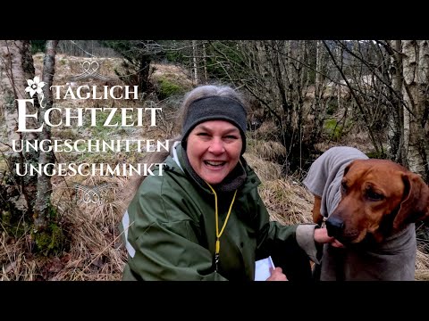 Echtzeit: Heiligabend Besuch mit 🐕Hund Odin, die Pferde🐴 und mir👩‍🌾! | TV Serie, wahres Leben