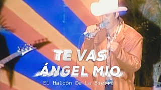 Te Vas Angel Mio Lyrics English Translation