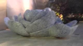 Enjoy the garden at Disney Concert Hall