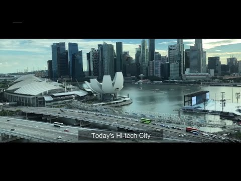 Denler DL04 Smart Lock Digital Door Lock with 3D Face Recognition