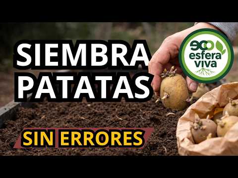 Flawless Potato Planting: Guide to Prep, Germination & More