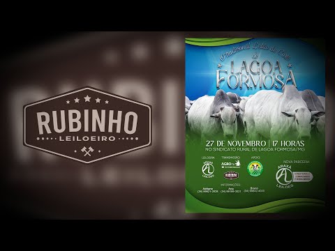 LEILÃO DE CORTE -  LAGOA FORMOSA MG  27 DE NOVEMBRO - 17H00