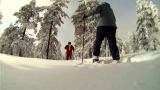 preview picture of video 'Snowshoe hike near Abbas Stugby och Camping.mp4'