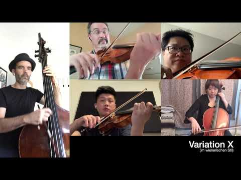 Happy Birthday Variations (Peter Heidrich) - VIS String Principals