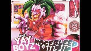 The Yay Boyz - Stupid Hyphy