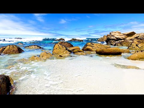 Ocean Therapy: 6 Hours of Calm From The California Coast (4K Video)
