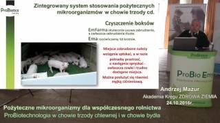 ProBio Emy w chowie trzody chlewnej - Andrzej Mazur