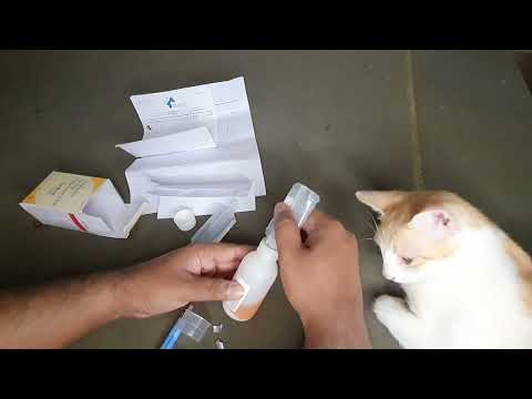 50mg Zedox Doxycycline For Oral Suspension