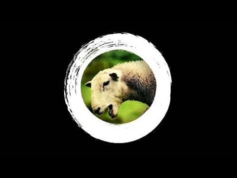 2019 Dubwise Mix Vol. 1