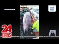 Mangingisda Sa Oriental Mindoro Nakalambat Ng 430kg Blue Marlin 24 Oras