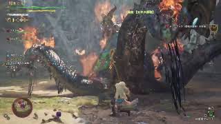 星9クエ周回【モンハンワイルズ】参加型
