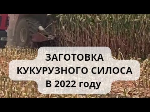 🚩Заготовка кукурузного силоса в условиях 2022 года