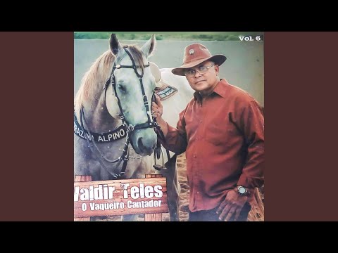 Boi da minha estimação