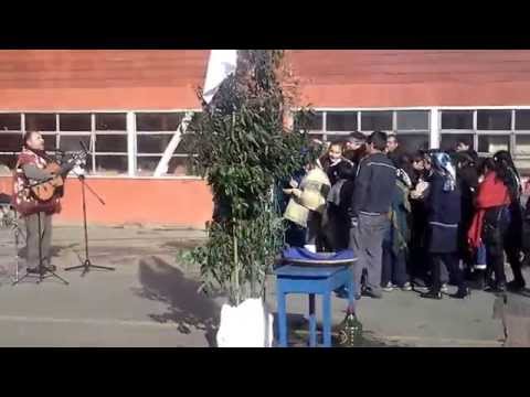 ARMANDO NAHUELPAN EN QUEPE, PURRUN