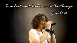 Chris Cornell - Sweet Euphoria - Lyrics on the Screen