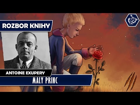 ❖ MALÝ PRINC | Antoine de Saint Exupery | Rozbor knihy | LUKAS IV. HOUSE