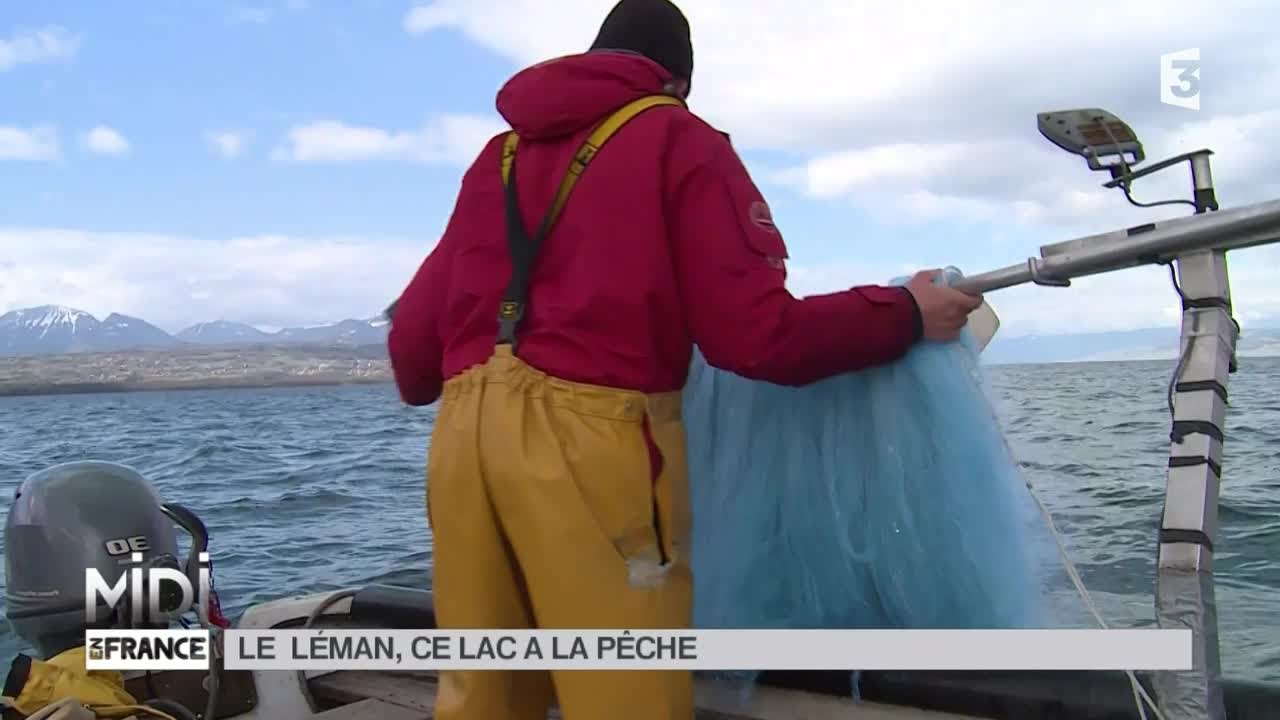 Watch video SUIVEZ LE GUIDE : Le Léman, ce lac a la pêche SUIVEZ LE GUIDE : Le Léman, ce lac a la pêche