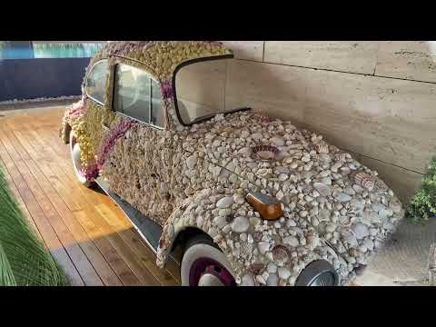 Videos del The Yucatan Resort 5★ en Playa del Carmen, MéxicoVer MásVerPrecios14CerrarConsulta por Whatsapp 🇦🇷BookingTripadvisorExpediaTravelocityOrbitzTripSkyscannerDespegarKayakHotelesBestdayTrivagoLastminuteTui