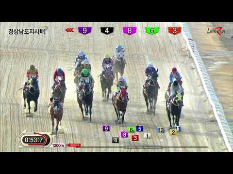 Gyeongam Governor's Cup (KOR G3) 2017 - Silver Wolf