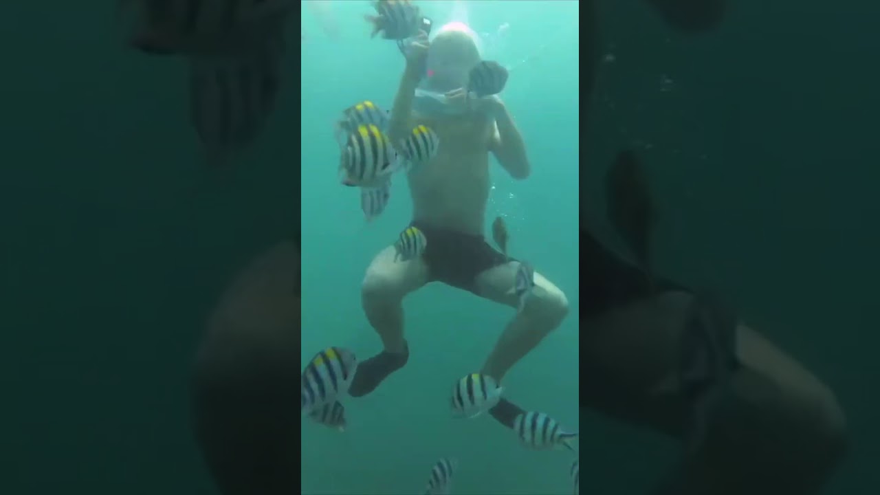 YouTube Short thumbnail