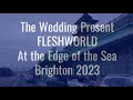 The Wedding Present - Fleshworld