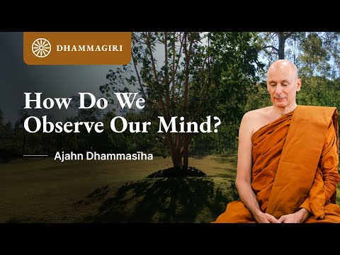How Do we Observe the Mind in our Meditation? | Cittanupassana | Satipatthana | Ajahn Dhammasiha