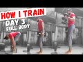 How i train day 3 - full body day - Alpha lee fitness