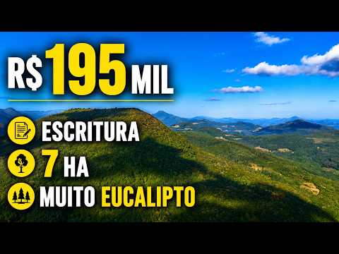 Vídeo