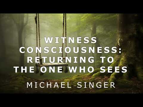 Michael Singer - Witness Consciousness - Returning to the One Who Sees