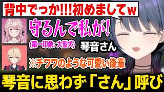 【あらなみマイクラ】初絡みの琴音の背中がでかすぎて思わず「さん呼び」になってしまうしーちゃんｗ【にじさんじ】