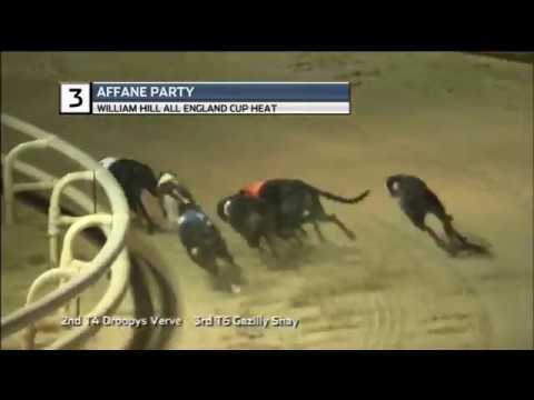 WILLIAM HILL ALL ENGLAND CUP - HEAT 2 - T3 AFFANE PARTY