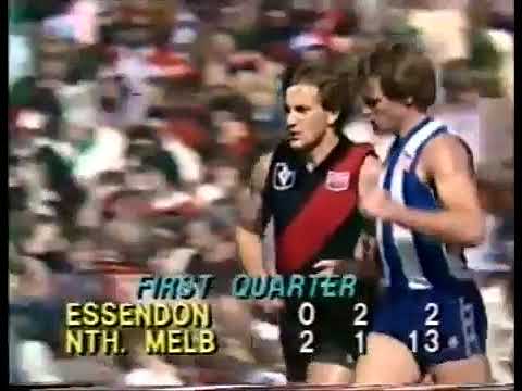 1982 Eliminaton Final Essendon v North Melbourne