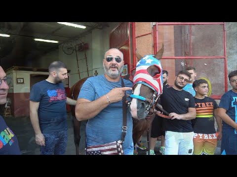 GIANNI STINO RONALDINHO (OFFICIAL 2020) AUTORE FRANCESCO D'AGOSTINO