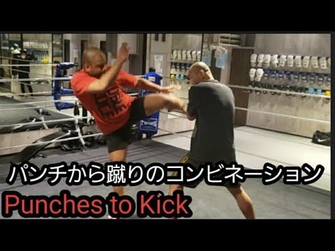 パンチから蹴りのコンビネーション Punches to Kick.