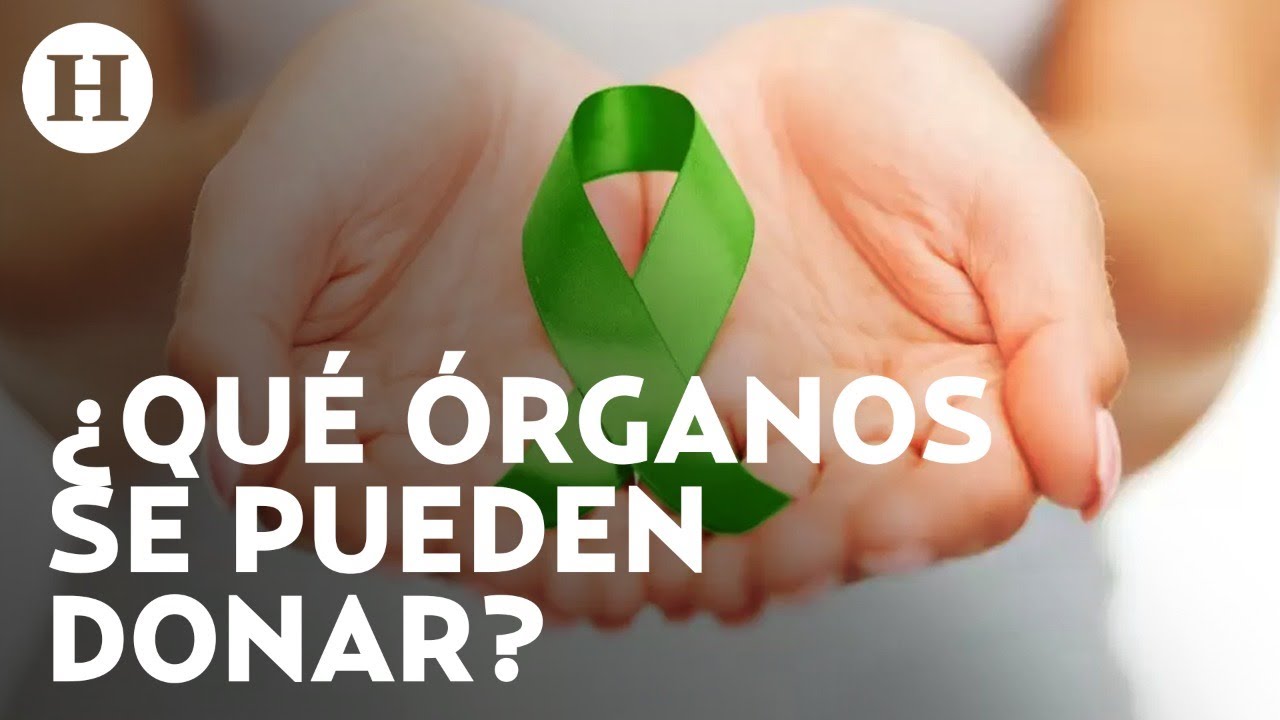 Sergio Hernández Estrada-2