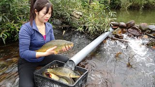 Build Fish Traps | How To Make a Simple Fish Trap With PVC Pipe, Catching a Lot Of Fish