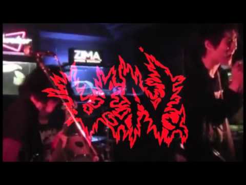 VxNx VS megane "SPLIT" teaser01